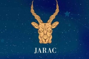 jarac horoskopski znak